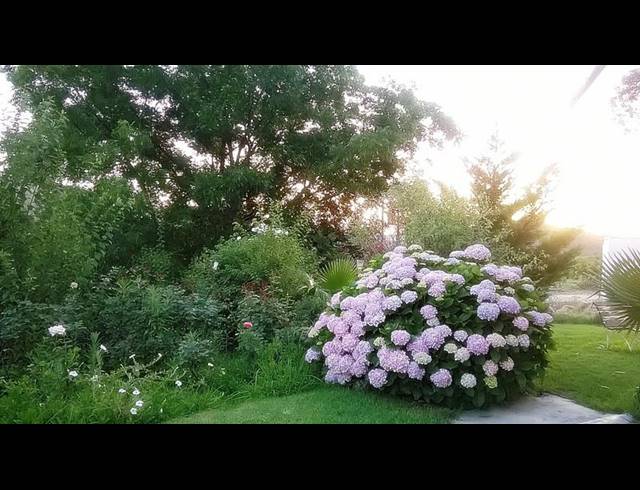 FARM FOR SALE IN LADISMITH